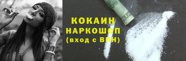 PSILOCYBIN Белокуриха