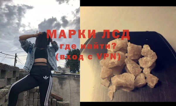 PSILOCYBIN Белокуриха