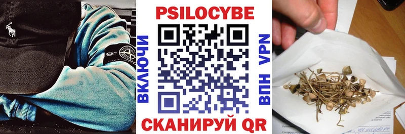 Галлюциногенные грибы Psilocybine cubensis Шуя